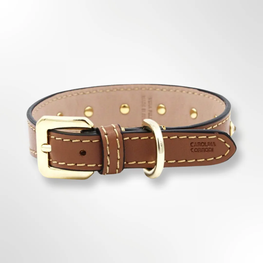 Hundehalsband Leder mit Strasssteinen Gold Edition Marseille Braun